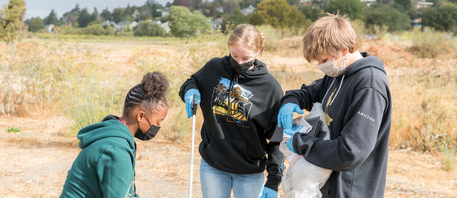 image for Service Learning