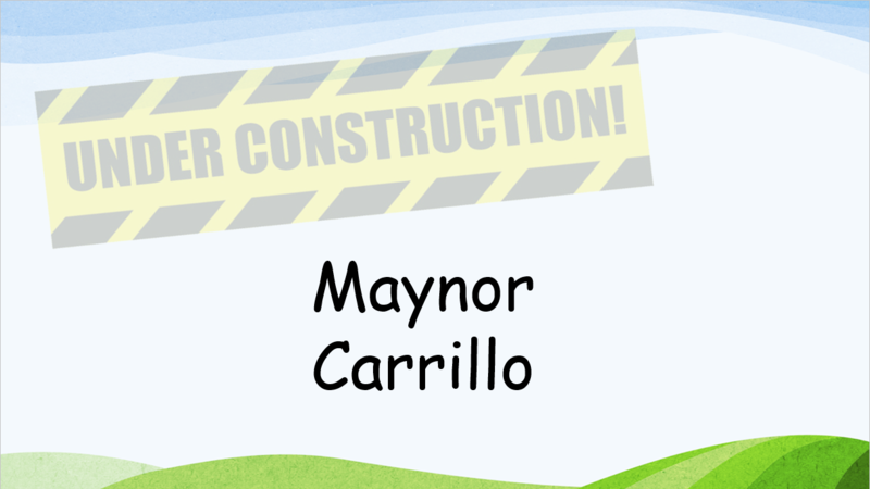 Maynor Carrillo Art