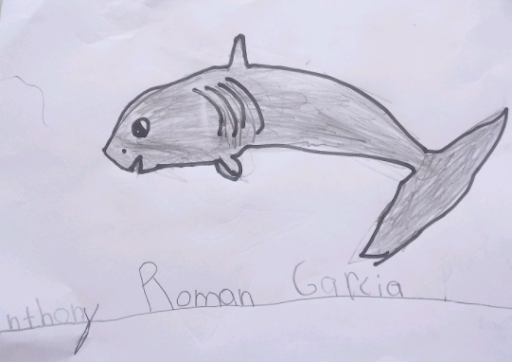 Anthony Roman Art