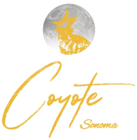 Ciyote 1
