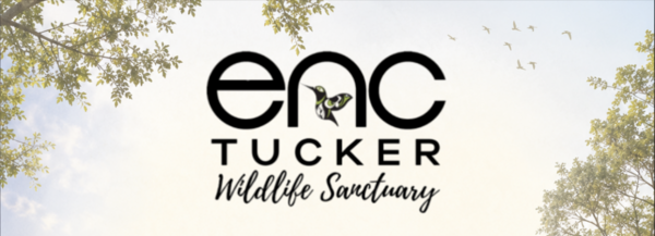 Environmental Nature Center photo