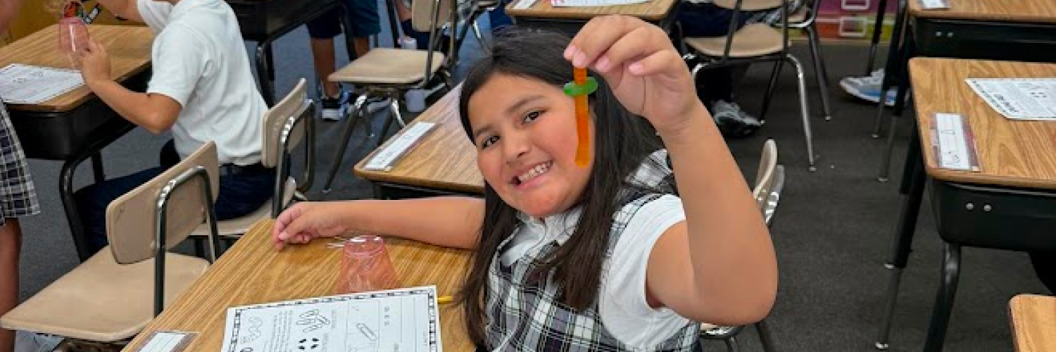 image for Student Learning Expectations