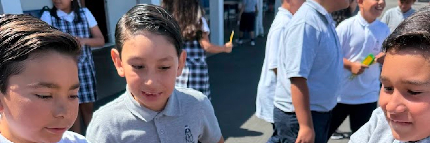 image for Funds & Campaigns