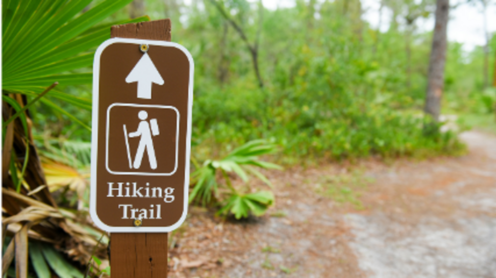 Back to School Hike - Meet. Hike. Belong. Image