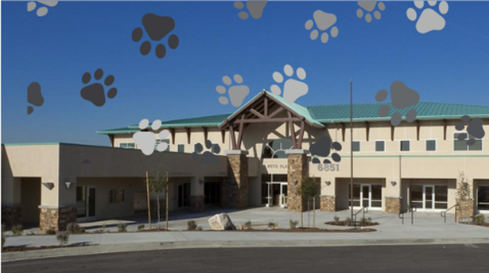 Riverside Animal Shelter - Community Learning Opportunity Image