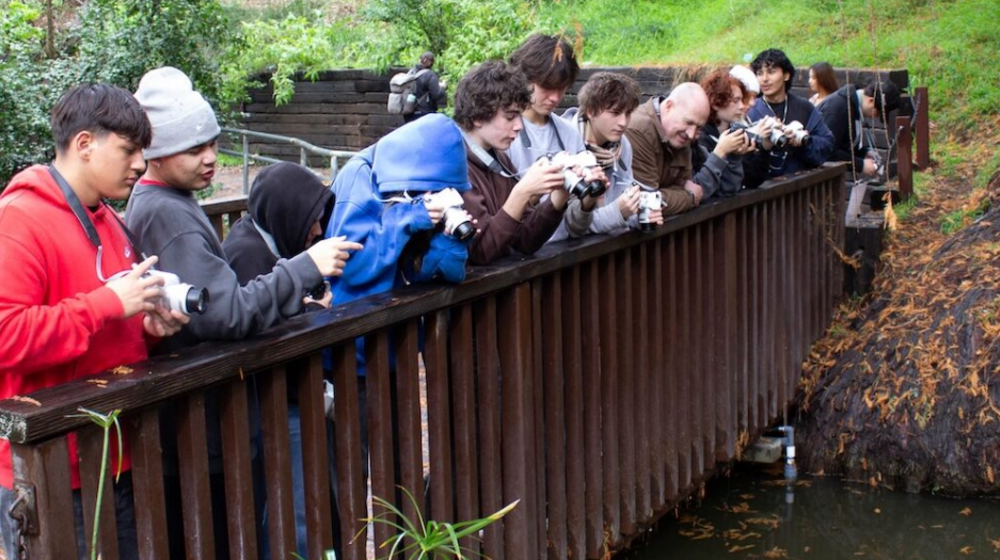 Photo Walk UCR ARTS x UCR Botanic Gardens - CTE Educational Opportunity Image