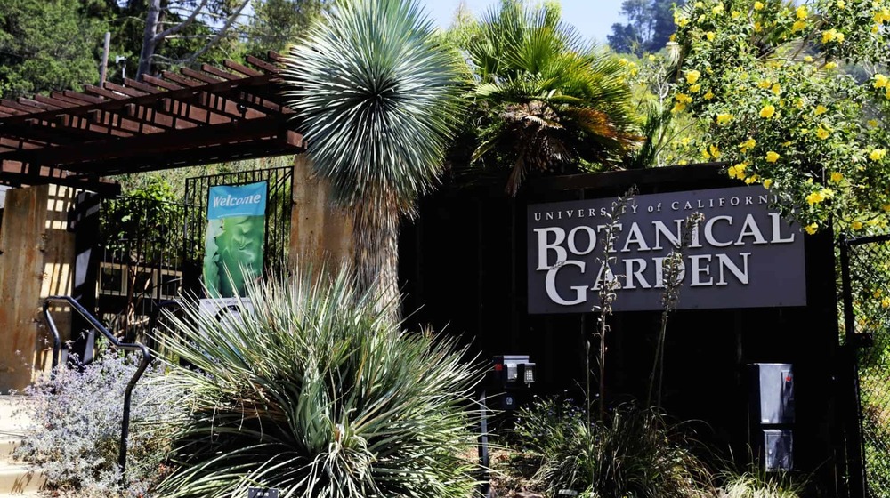 UCR Botanical Gardens - Experiential Field Trip Image