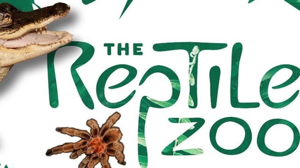 Reptile Zoo - Experiential Field Trip Image