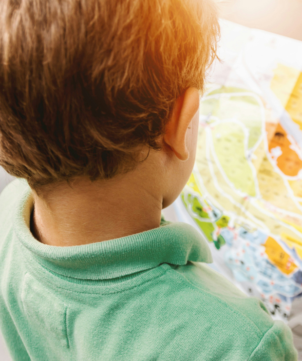 Primary Grades program image