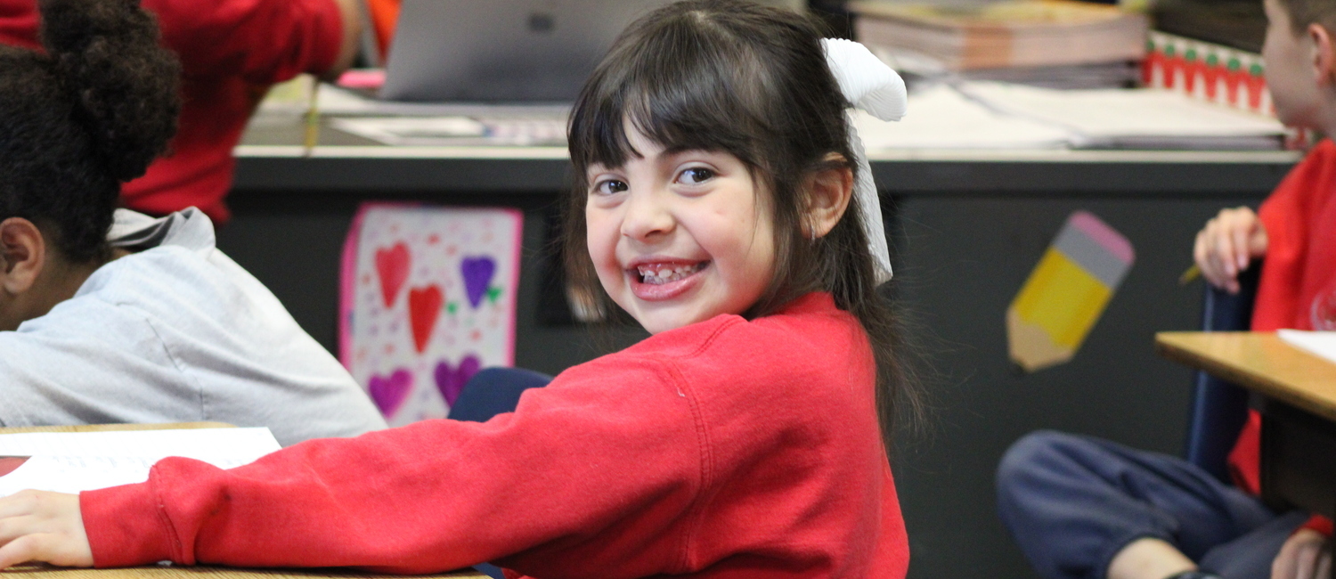 Curriculum image