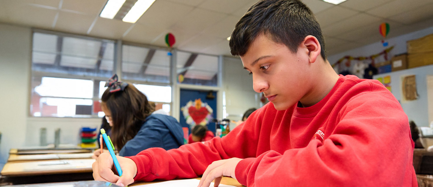Curriculum image