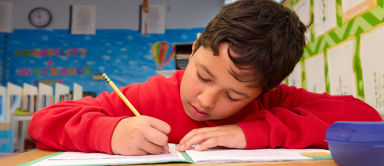 Elementary School image