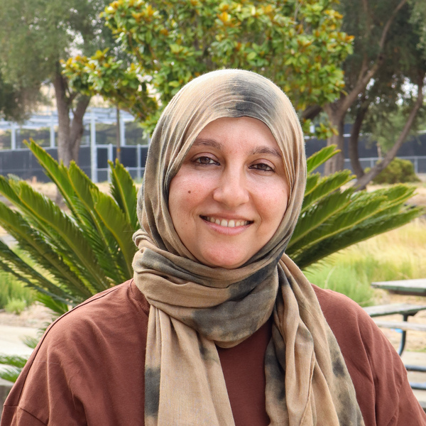 image for Orzala Arsala