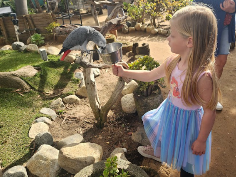 Exotic Bird Sanctuary image