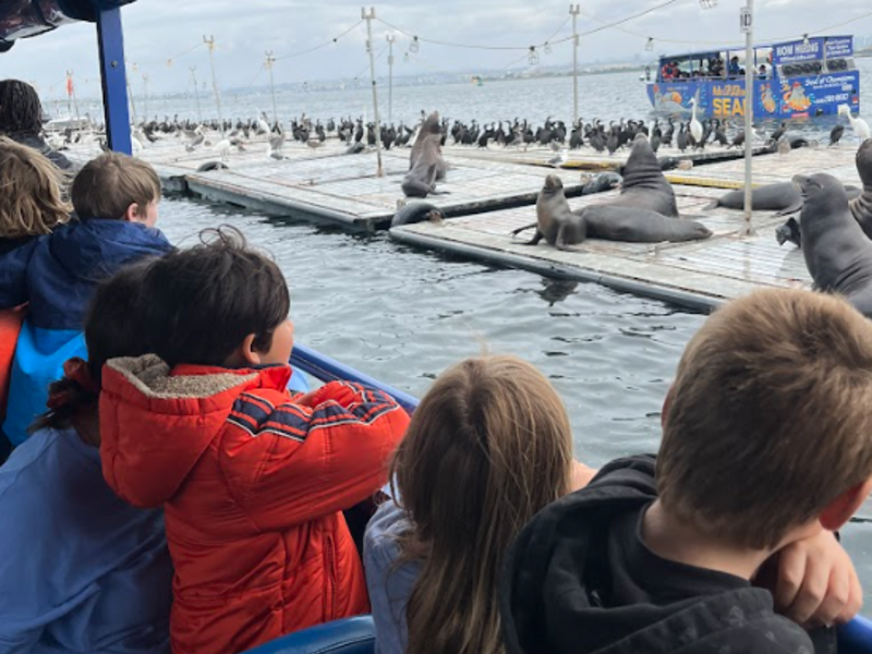 San Diego Seal Tour image