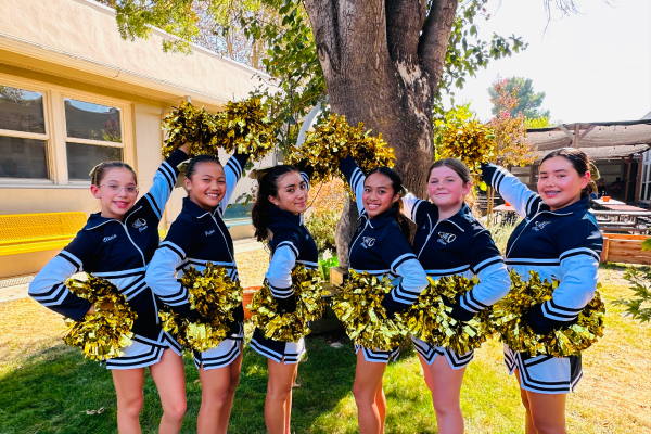 Cheerleading image for Cheerleading