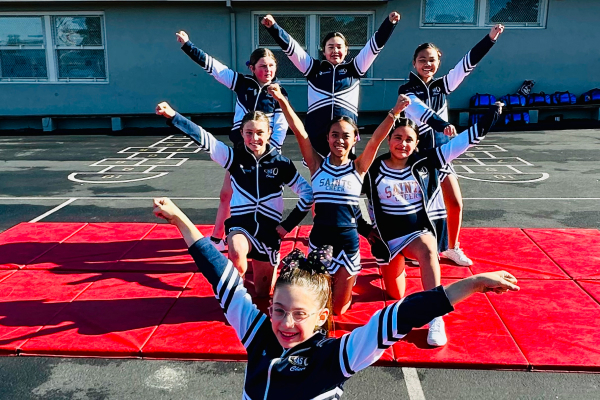 Cheerleading image for Cheerleading