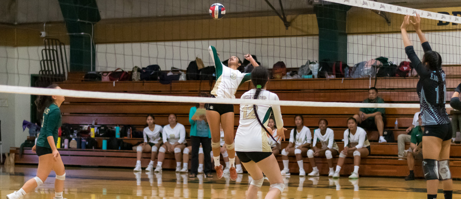 image for Fall Sports