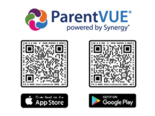 Parent Vue