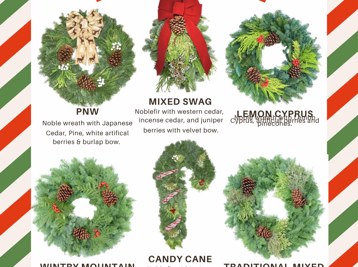 Director's Letter November 7, 2025