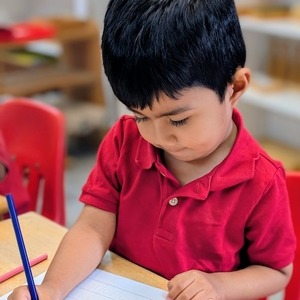 Cardinal Montessori School image2