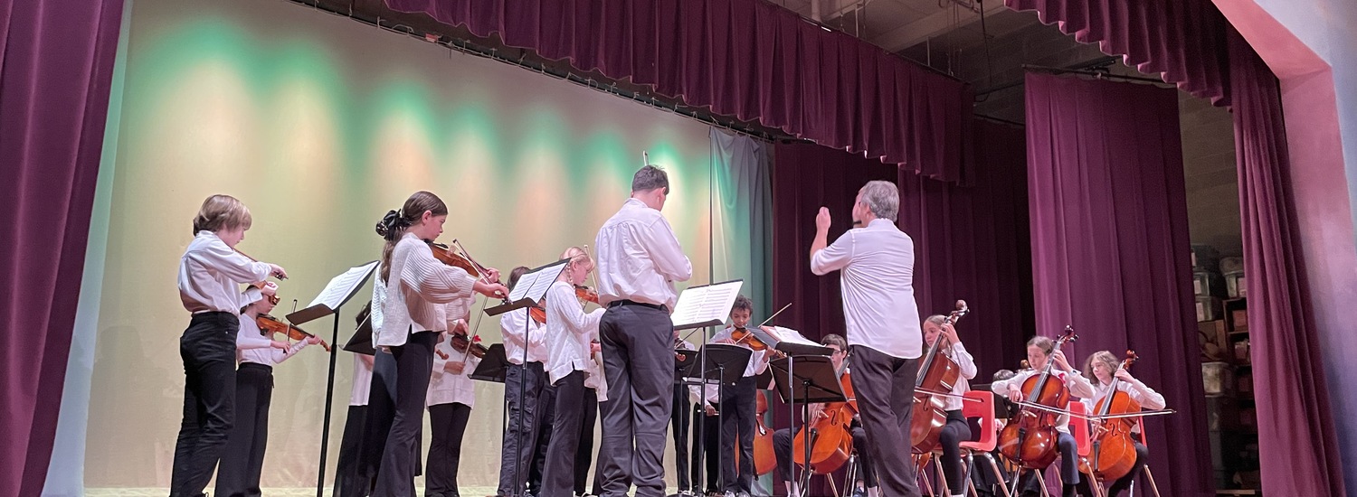 Seven - Orchestra  image for Aurora Waldorf School