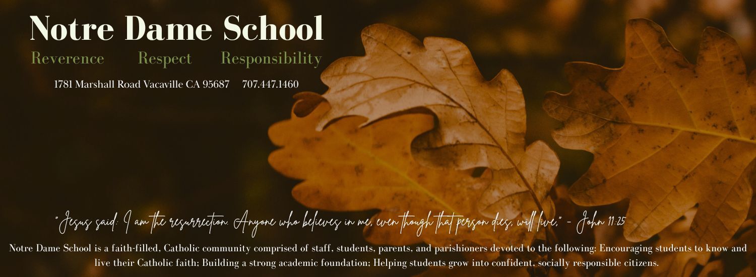 Fall image for Notre Dame School