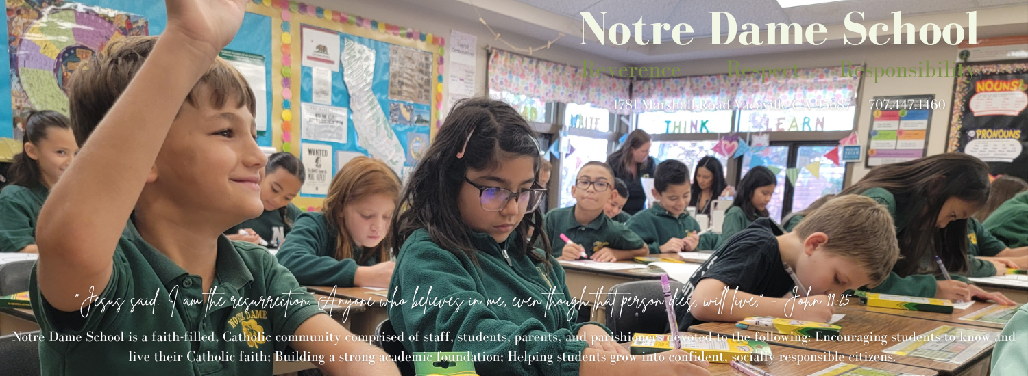 Header 4 image for Notre Dame School