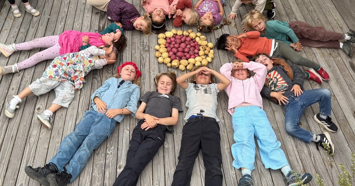Garden-to-Table Summer Camp 2026: Growing, Cooking, and Learning Together