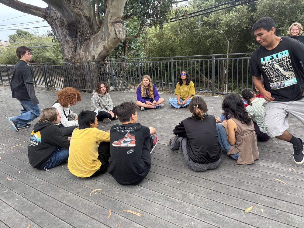 AP Mandarin Classes Enjoy Creative Brain Breaks