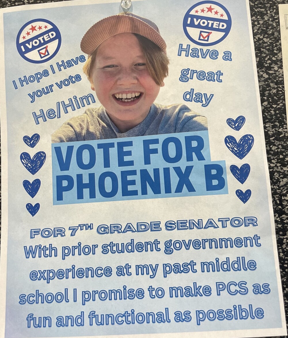 Student Senators Run Clever Campaigns