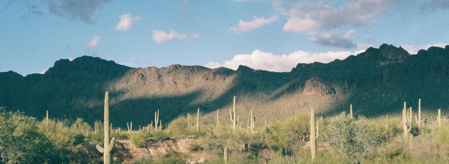 image for Thrive Communities, Anthem Campus