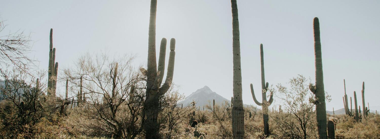 image for Two-Day Programs