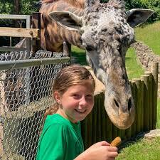 Greenville Zoo image