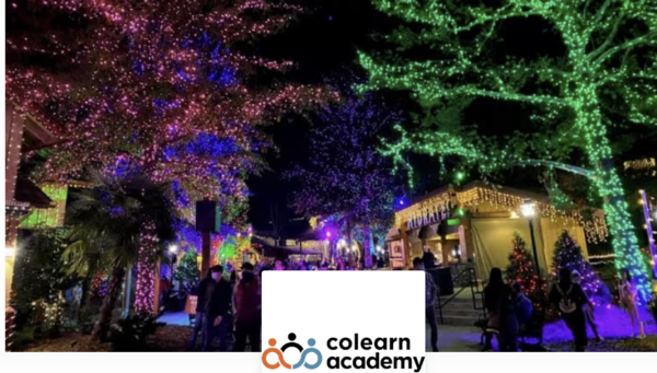 Greenville Festival of Lights image