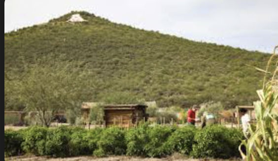 Mission Gardens image