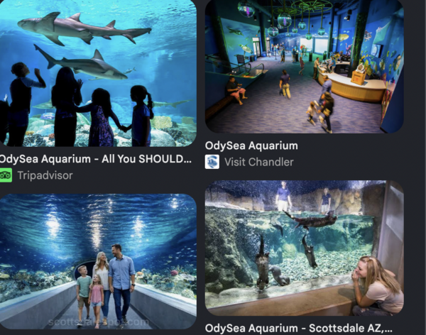 Odysea  image