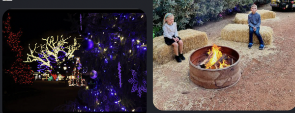 Schnepf Farms Christmas image