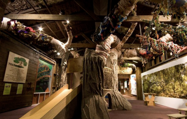 Children’s Museum of the Lowcountry image
