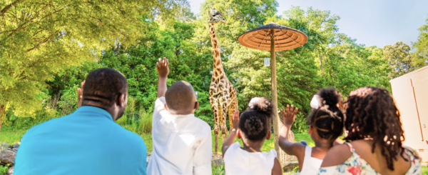 Greenville Zoo image