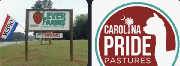 Carolina Pride Pastures&Lever Farms image