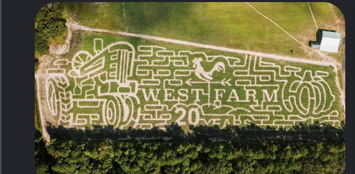 West Coast Corn Maze image