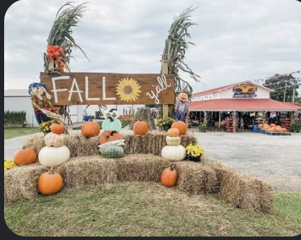 Cooley Farms   image
