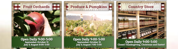 Apple Annie's image